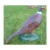 Wildlife 3D Target - Pheasant Red 3 Wildlife 3D Target - Pheasant Red -Merlin Archery Shop 826387 1