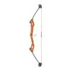 Bear Archery Valiant Bow Set