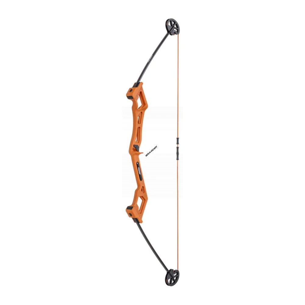 Bear Archery Valiant Bow Set 1 Bear Archery Valiant Bow Set