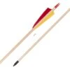Buck Trail Standard Spruce Arrows -Merlin Archery Shop 842090 2 1