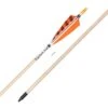 Buck Trail Deluxe Spruce Arrows -Merlin Archery Shop 842097 1 1 1 1 1 2