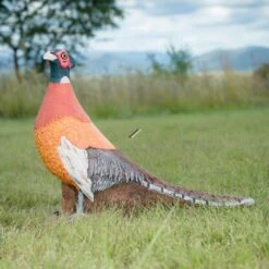 Wildcrete 3D Target - Pheasant