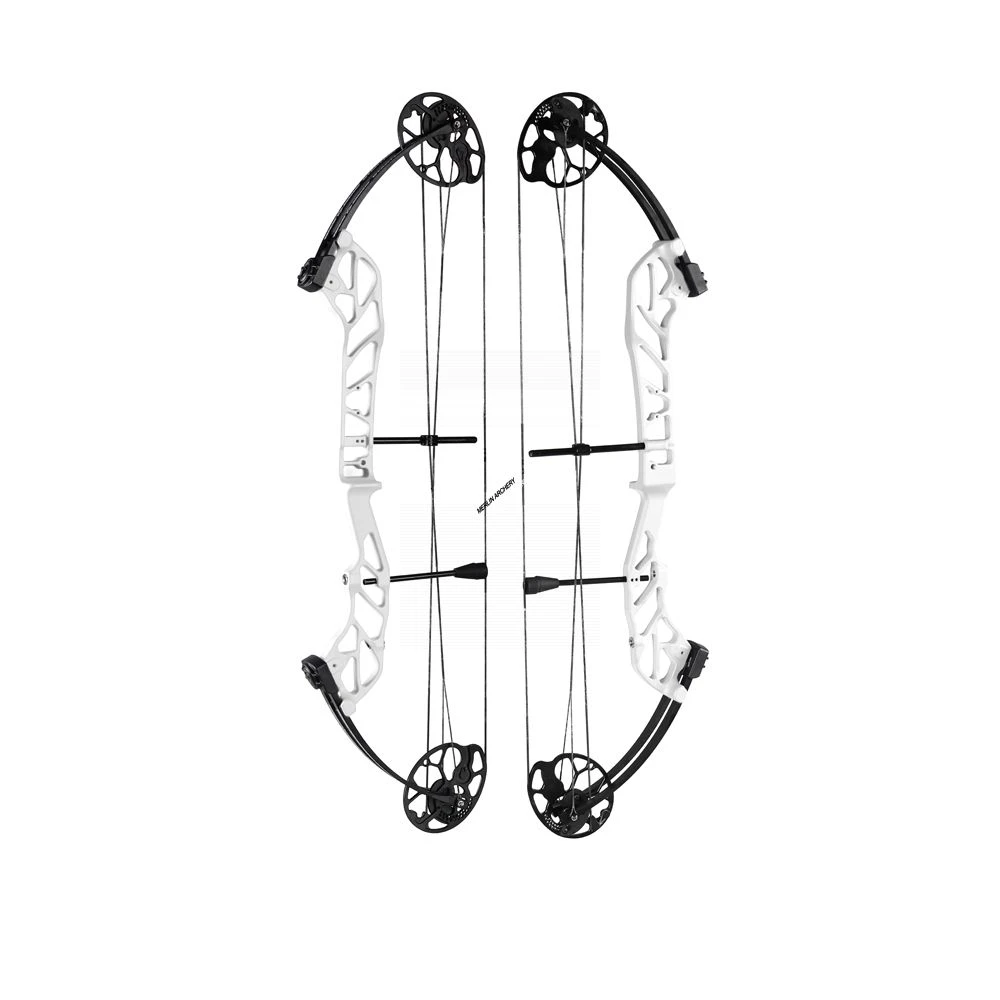 Topoint Starting 36 Compound Bow 12 Topoint Starting 36 Compound Bow - Image 12