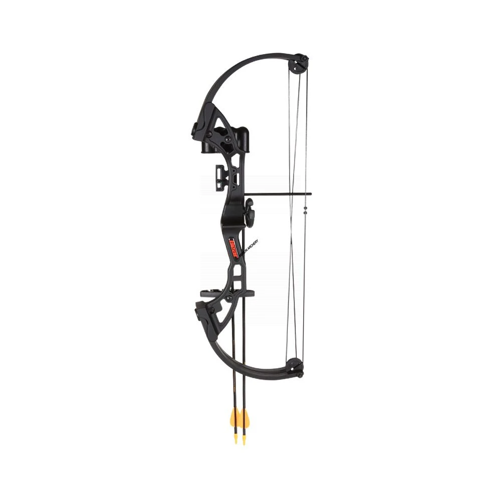 Bear Brave 3 Compound Bow 2 Bear Brave 3 Compound Bow - Image 2