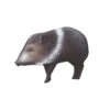 Delta Mckenzie 3D Backyard - Javelina -Merlin Archery Shop DEL030