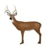Delta Mckenzie 3D Pro Series - Large Alert Deer -Merlin Archery Shop DEL043