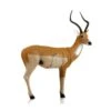 Delta Mckenzie 3D Pro Series - African Impala -Merlin Archery Shop DEL058 1