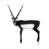 Delta Mckenzie 3D Pro Series - Black Buck 2 Delta Mckenzie 3D Pro Series - Black Buck -Merlin Archery Shop DEL062