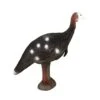 Eleven 3D Target - Turkey -Merlin Archery Shop ELV013