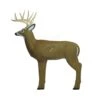 Field Logic Medium Buck 3D Target -Merlin Archery Shop FIE005