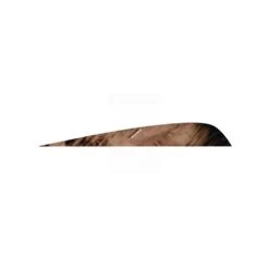 Gateway Feathers - Right Wing - 3" Parabolic -Merlin Archery Shop GAT013 3