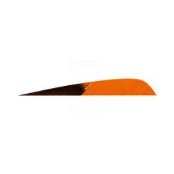 Gateway Feathers - Right Wing - 4'' Parabolic - HB Kuro -Merlin Archery Shop GAT026 4