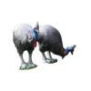 Natur Foam 3D Target - Cassowary -Merlin Archery Shop NAT033 1