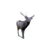 Natur Foam 3D Target - Sika Deer -Merlin Archery Shop NAT070