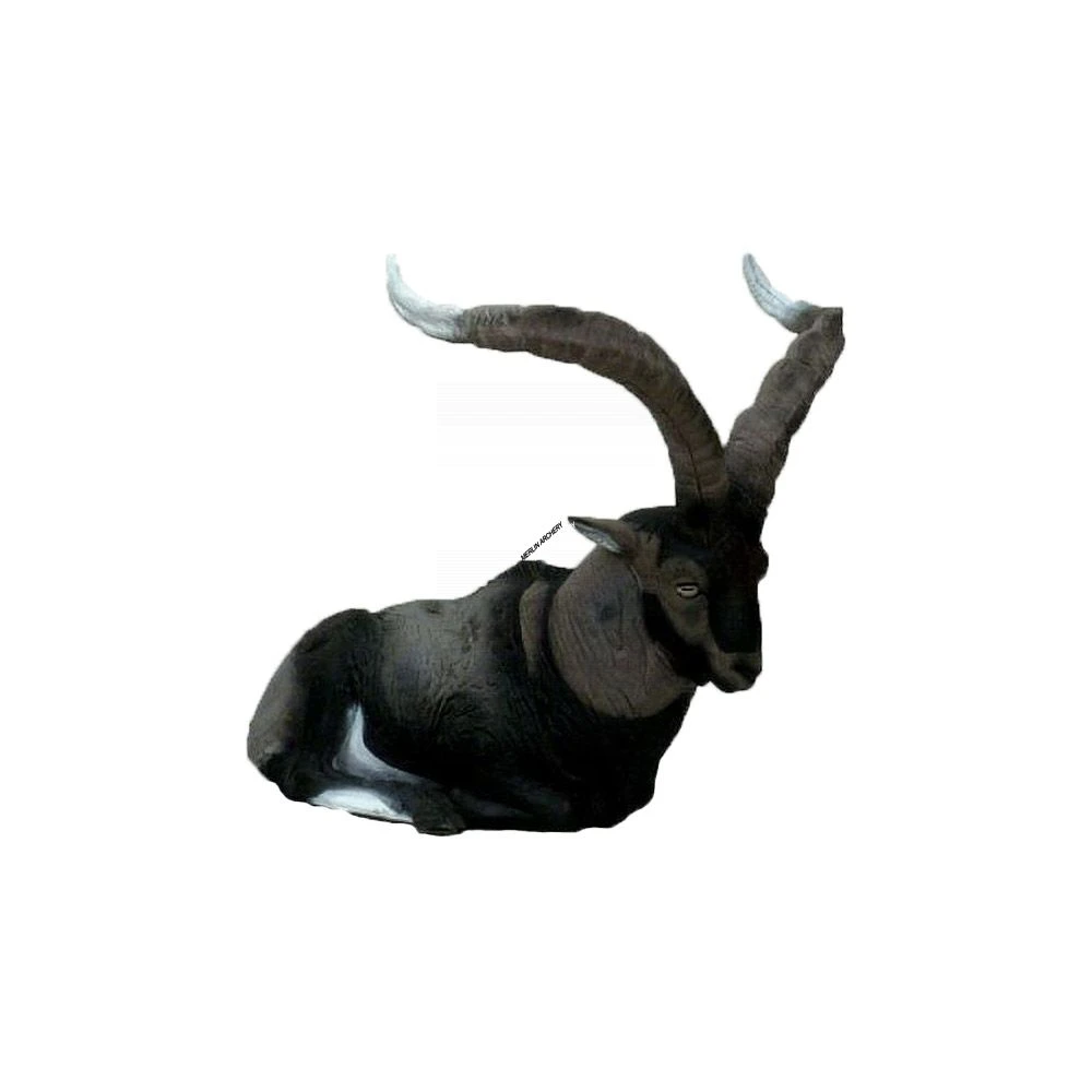 Natur Foam 3D Target - Machjo Montes Sitting 1 Natur Foam 3D Target - Machjo Montes Sitting