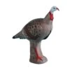 Rinehart 3D Target - Alert Turkey -Merlin Archery Shop RIN026