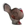 Rinehart 3D Target - Strutting Turkey -Merlin Archery Shop RIN042