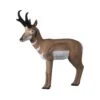 Rinehart 3D Target - Pronghorn Antelope -Merlin Archery Shop RIN045