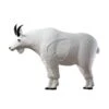 Rinehart 3D Target - Mountain Goat 3 Rinehart 3D Target - Mountain Goat -Merlin Archery Shop RIN067 1