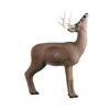 Rinehart 3D Target - Browsing Buck -Merlin Archery Shop RIN086