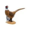 SRT 3D Target - Pheasant -Merlin Archery Shop SRT056