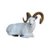 SRT 3D Target - Dall Sheep Bedded -Merlin Archery Shop SRT063