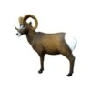 SRT 3D Target - Rocky Mountain Sheep 3 SRT 3D Target - Rocky Mountain Sheep -Merlin Archery Shop SRT064