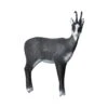 Wildlife 3D Target - Chamois