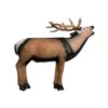 Wildlife 3D Target - Deer Belling -Merlin Archery Shop WIL039