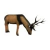 Wildlife 3D Target - Deer Drinking -Merlin Archery Shop WIL041