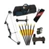 Alina Legend Compound Kit -Merlin Archery Shop alina kit
