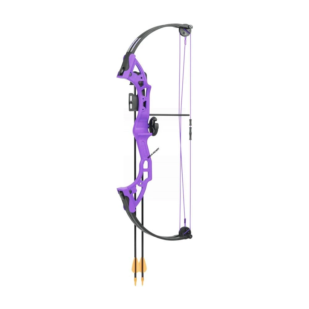 Bear Brave 3 Compound Bow 6 Bear Brave 3 Compound Bow - Image 6