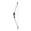 Carbon Express Archery Ambidextrous Bow -Merlin Archery Shop golfbow 1