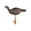 Elong Backyard 3D Target - Large Male Turkey -Merlin Archery Shop maleturkeyackyard1 1