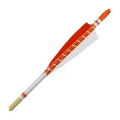 MAC Dawn Traditional Wooden Arrows - 5/16" 12 MAC Dawn Traditional Wooden Arrows - 5/16" -Merlin Archery Shop merlin dawn traditional wooden arrows orange 7