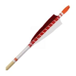MAC Dawn Traditional Wooden Arrows - 5/16" 8 MAC Dawn Traditional Wooden Arrows - 5/16" -Merlin Archery Shop merlin dawn traditional wooden arrows red 6