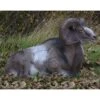 Natur Foam 3D Target - Mouflon Lying -Merlin Archery Shop nat059